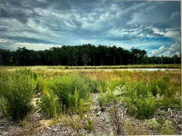 3 County Road 2184 Lot 3, Cleveland, TX 77327