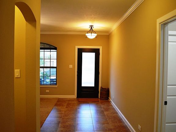 Front door with privacy glass