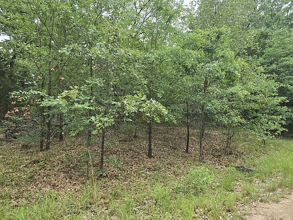 2nd image of LOT 1007 Kickapoo Trl
