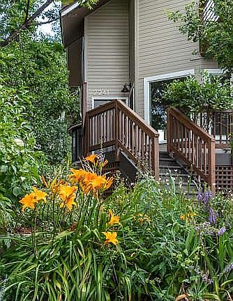 Elevated entry steps 