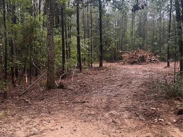 S Bennett Rd, Independence, LA 70443
