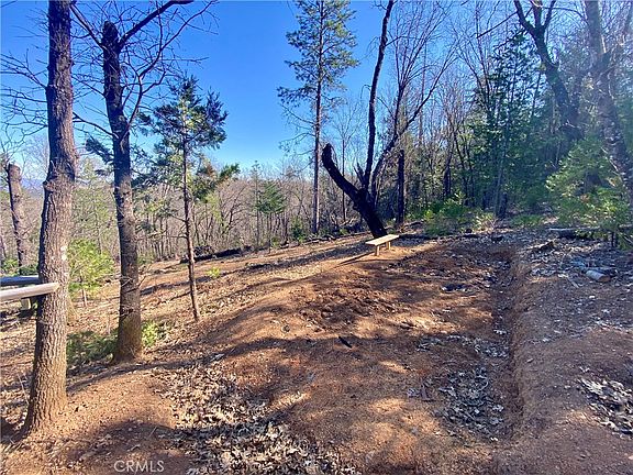 3rd image of 10130 Seigler Springs North Rd