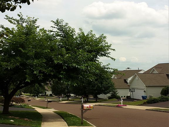 sidewalks for bikes & walks