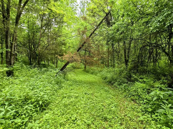 11200 McCrearys Ridge Rd, Florence, IN 47020