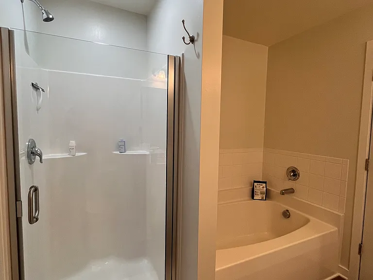 Master Bath Shower/Tub