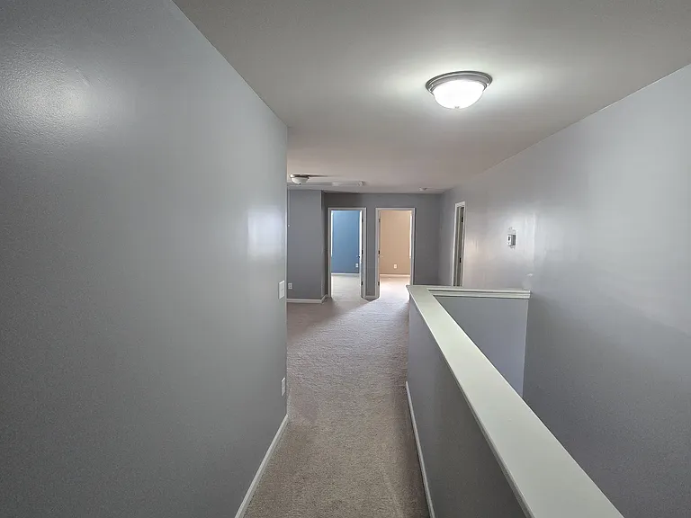 4603 David Cox Rd — Photo 14