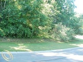 4th image of 5432 Alyssa Ct