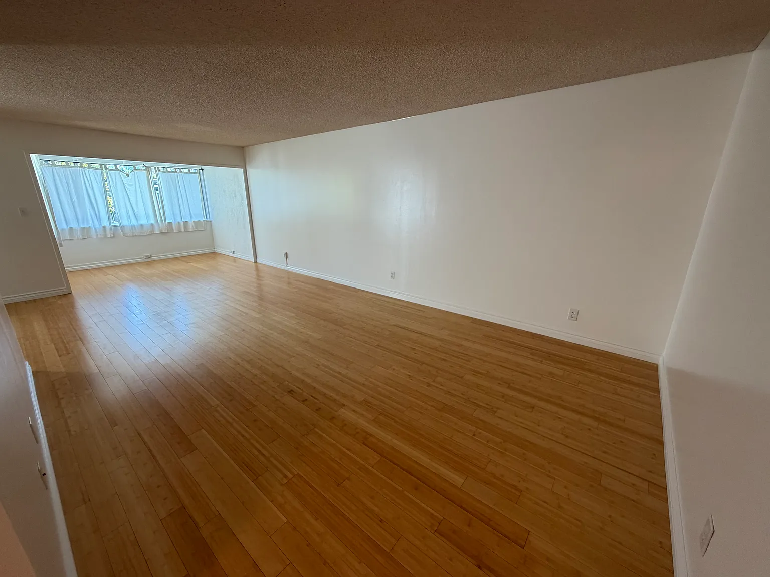 1 bed, 924 sqft, $2,300 — Photo 2