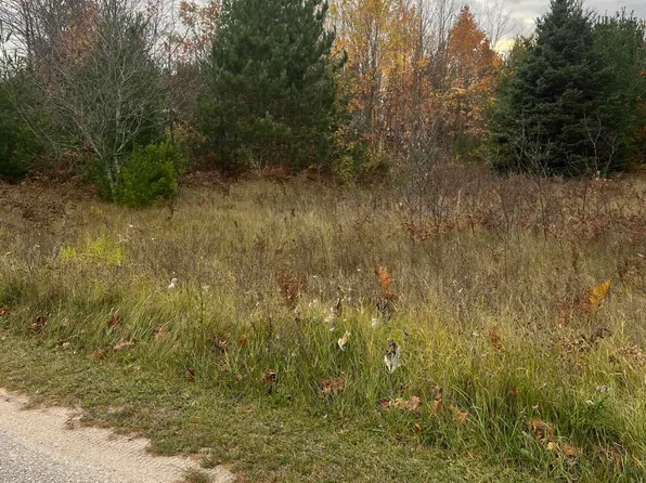 LOT 17 Sherry Lynn Dr, Engadine, MI 49827