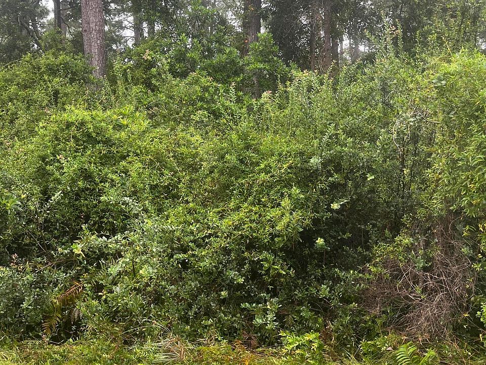 2nd image of 51 Bluebird Road LOT 51-52