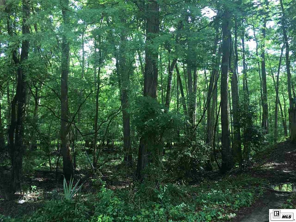 2nd image of 226 Kiroli Rd
