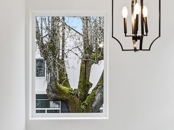 3rd image of 809 S Sullivan Street #B