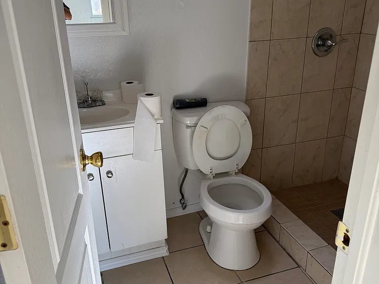 12528 Flora Alba Dr — Photo 14