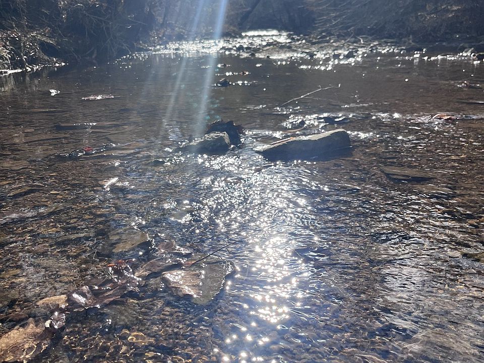 25th image of this home