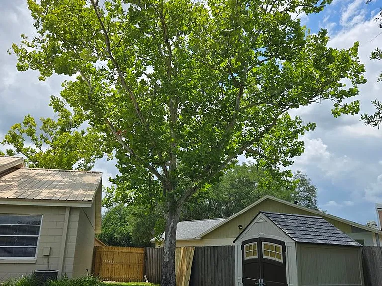 4733 N Dawnmeadow Ct — Photo 4