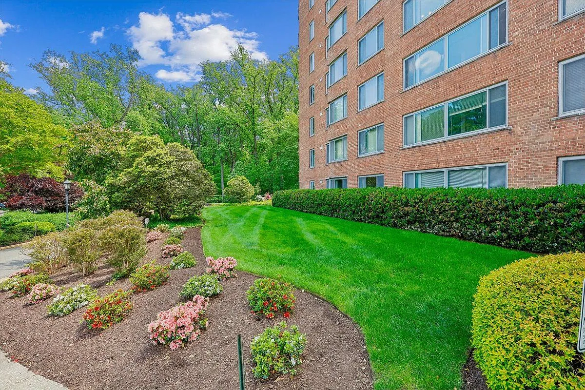 2 bed, 1.0 bath, 935 sqft, $2,700 — Photo 3