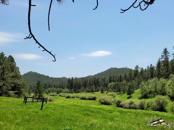 25919 Flynn Creek Rd, Custer, SD 57730