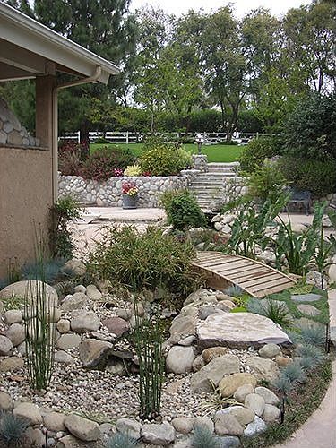 Koi Pond