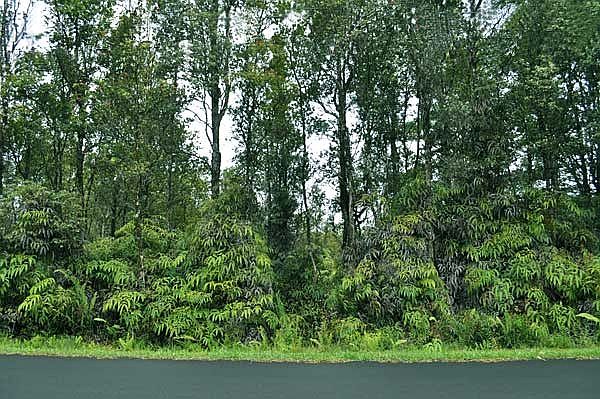 1st image of 13-1138 Kahukai St Lot 60-A