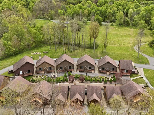 221 Cabin Lodge Rd, Mc Henry, MD 21541