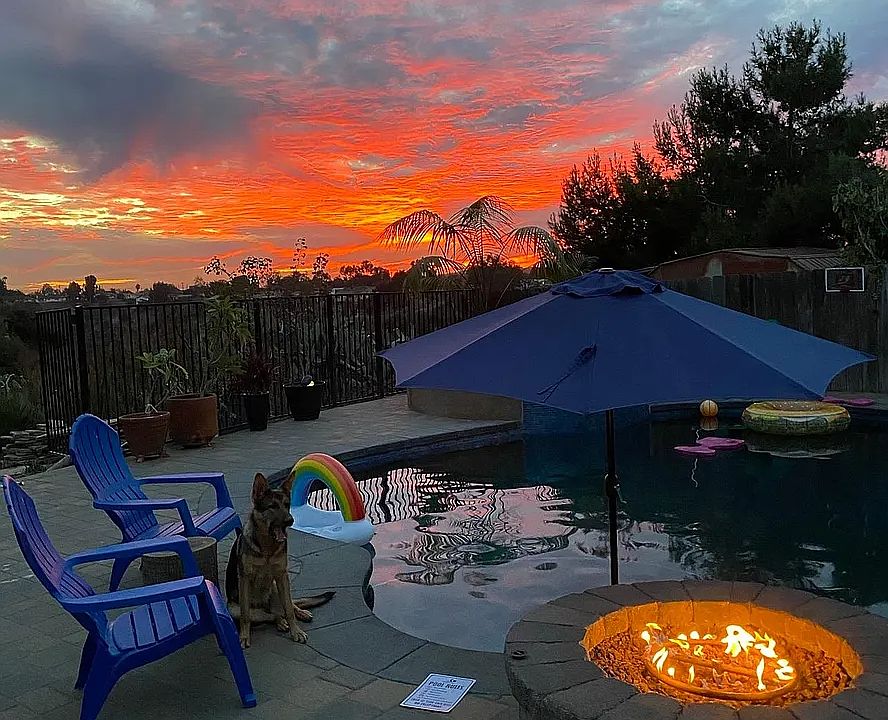 Backyard sunsets