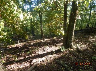 1107 Keetoowah Dr, Mooresburg, TN 37811