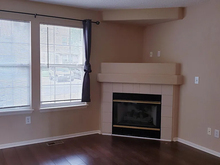 Living Room Fireplace