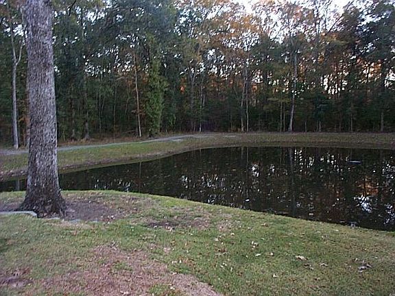 3rd image of 306 Chinquapin Dr #306