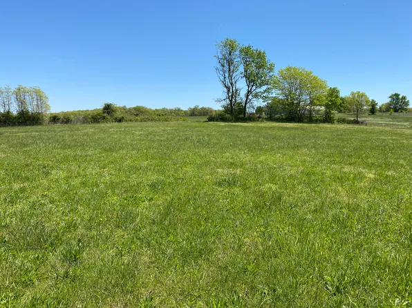 Tract 1c Johnson Rd, Sparta, MO 65753