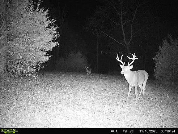 65th image of this home