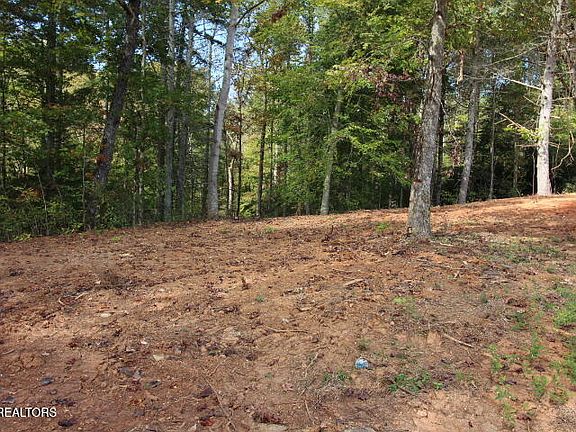 2nd image of 523 Rudd Hollow Rd
