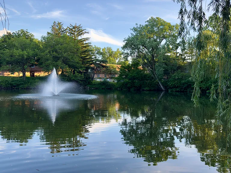 The water fountain at sunset