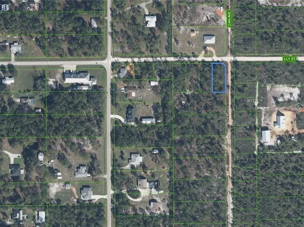 809 Lily St, Sebring, FL 33875