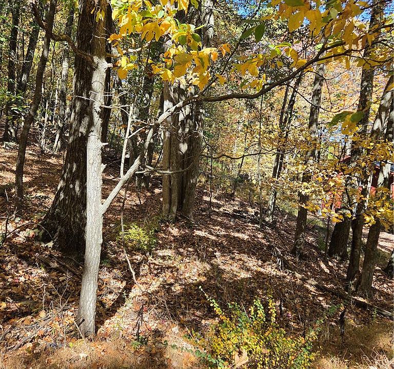 2nd image of Seneca Rd #11