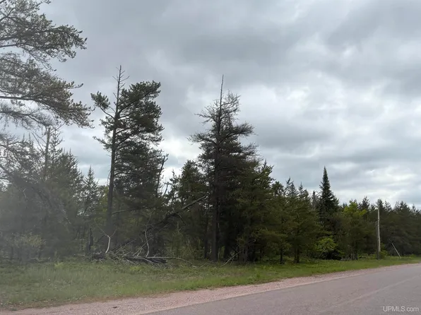 299 35 East Hwy #M, Gwinn, MI 49841