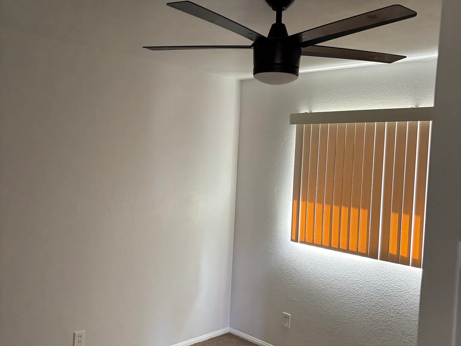 1077 E Bradley Ave E — Photo 3