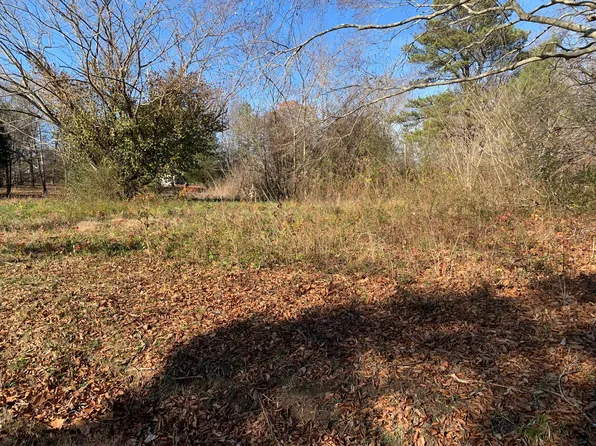 1450 Tom White Rd, Big Sandy, TN 38221