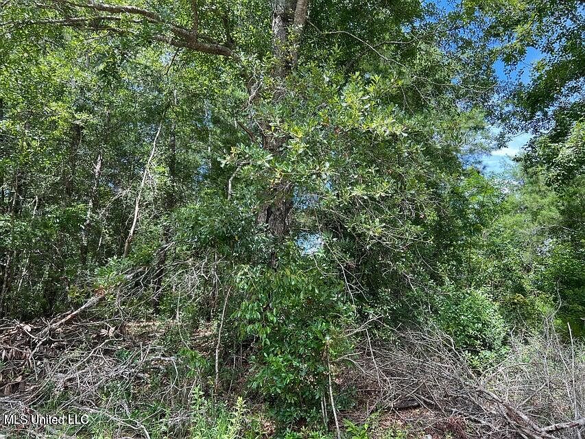 2nd image of Sampras Blvd Lot 31