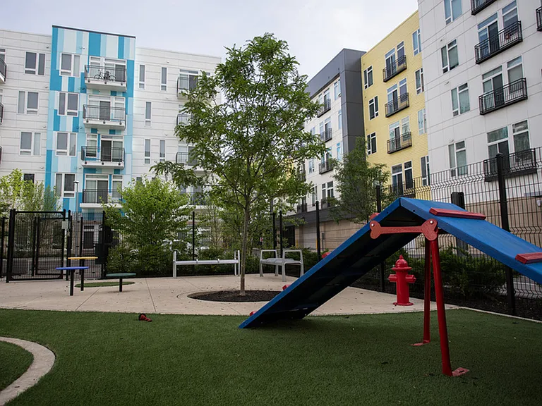 Artistry Dog Park
