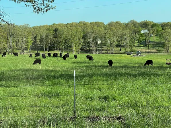 000 South Highway 95, Mountain Grove, MO 65711