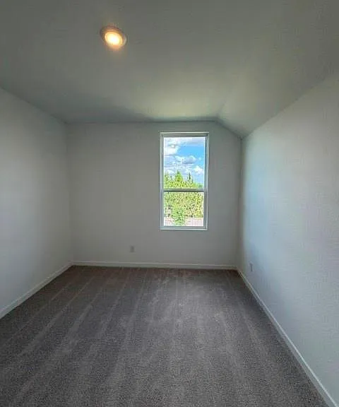 12618 Blue Catfish Ln — Photo 14