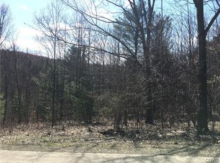 139 Hamilton Rd #27, Lisle, NY 13797