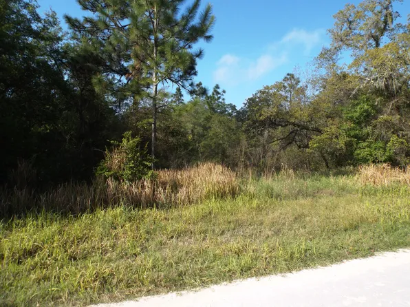 33216 Teakwood Dr, Webster, FL 33597