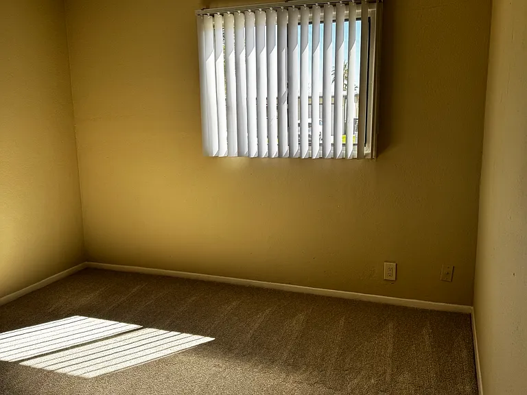 233 Oasis Dr — Photo 12