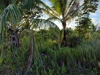 2nd image of 12-7056 Kehauopuna St Lot 251