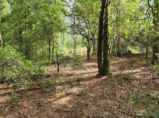 11107 N Mataro Ave, Citrus Springs, FL 34434