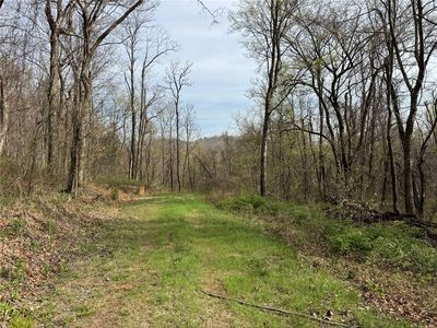 Nc #5083, Mount Judea, AR, 72655