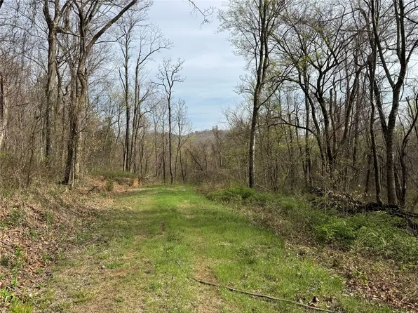 Nc #5083, Mount Judea, AR 72655