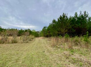 620 George Wise Rd, Carriere, MS 39426