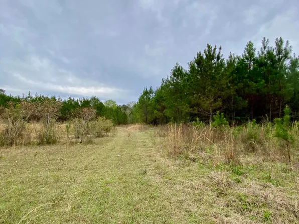 620 George Wise Rd, Carriere, MS 39426